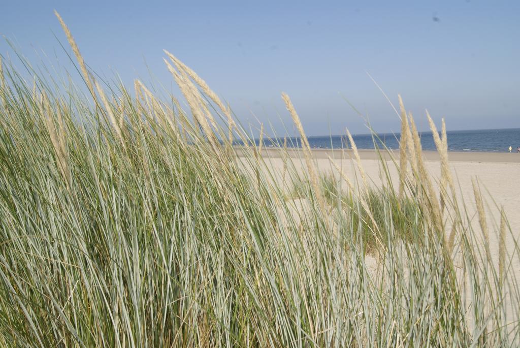 Suite School 15 A Zonnemaire Rum bild